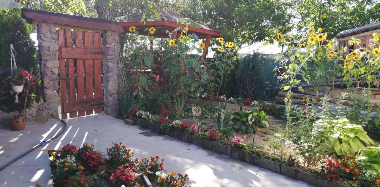 Bed and Breakfast Balla House Tărcaia Exterior foto