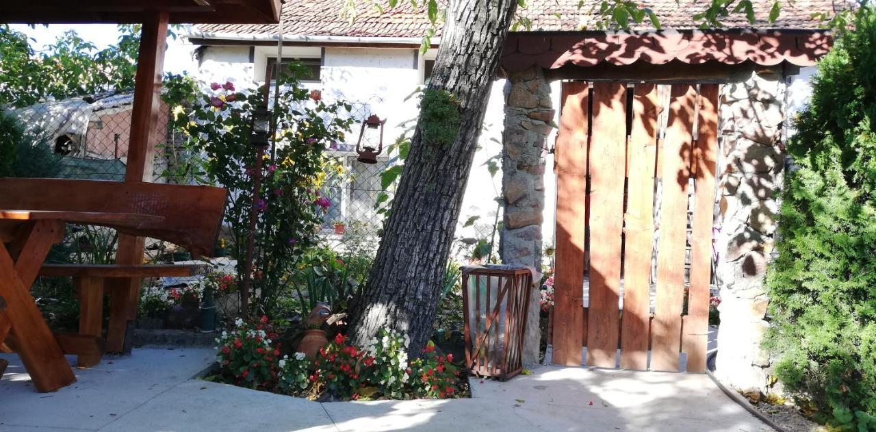 Bed and Breakfast Balla House Tărcaia Exterior foto