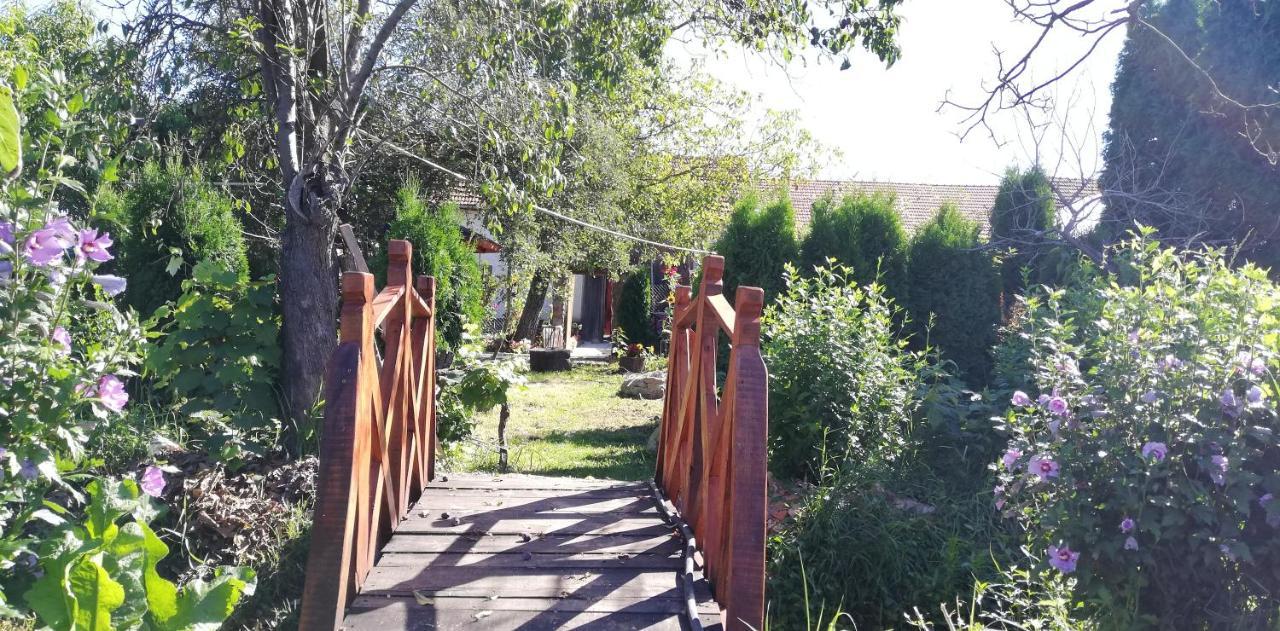 Bed and Breakfast Balla House Tărcaia Exterior foto