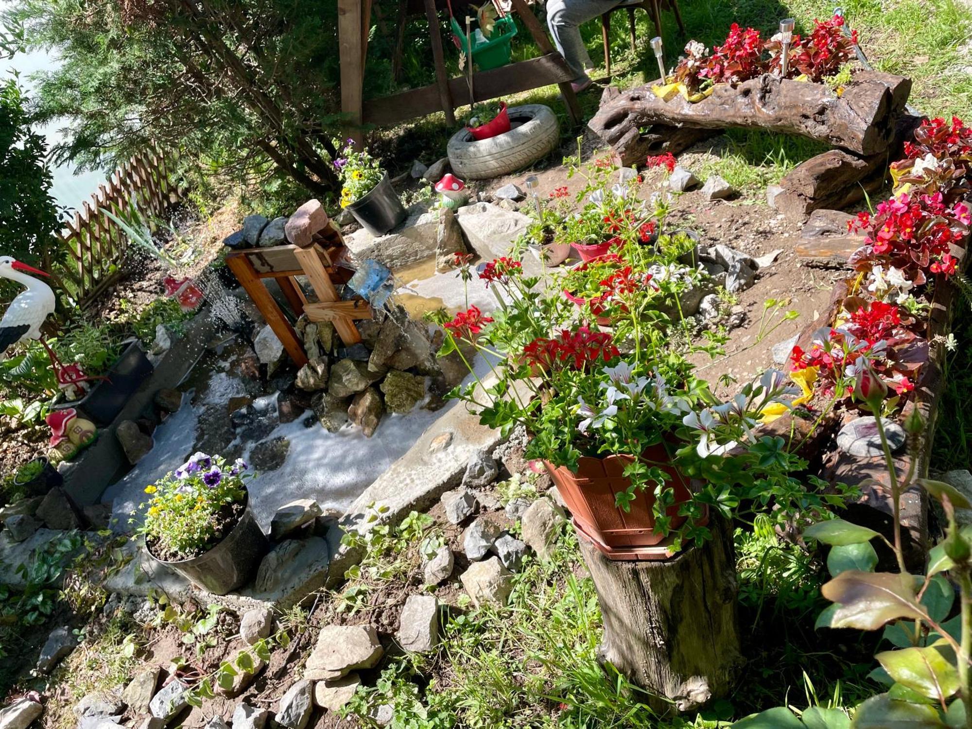 Bed and Breakfast Balla House Tărcaia Exterior foto